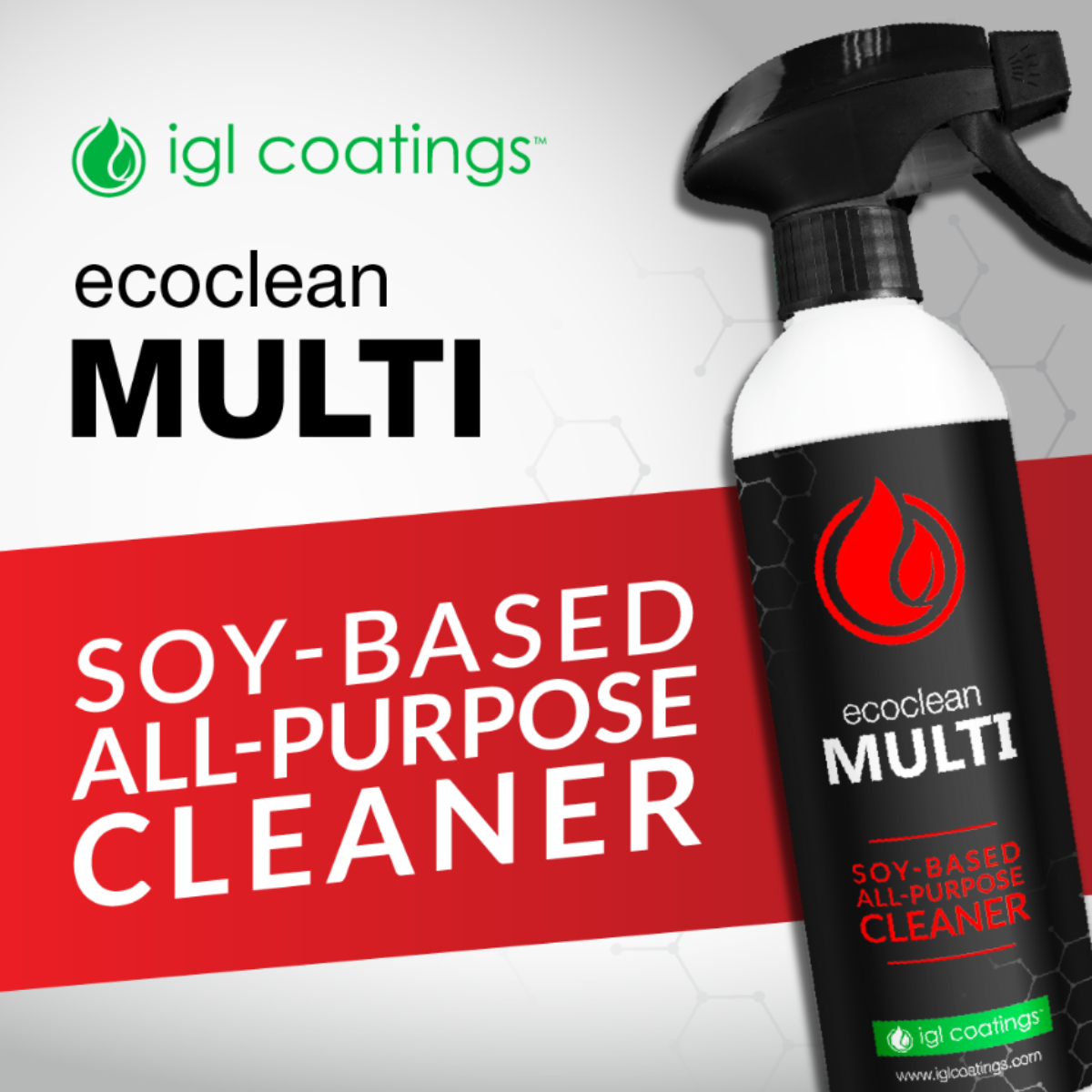 IGL Ecoclean Multi All Purpose Cleaner